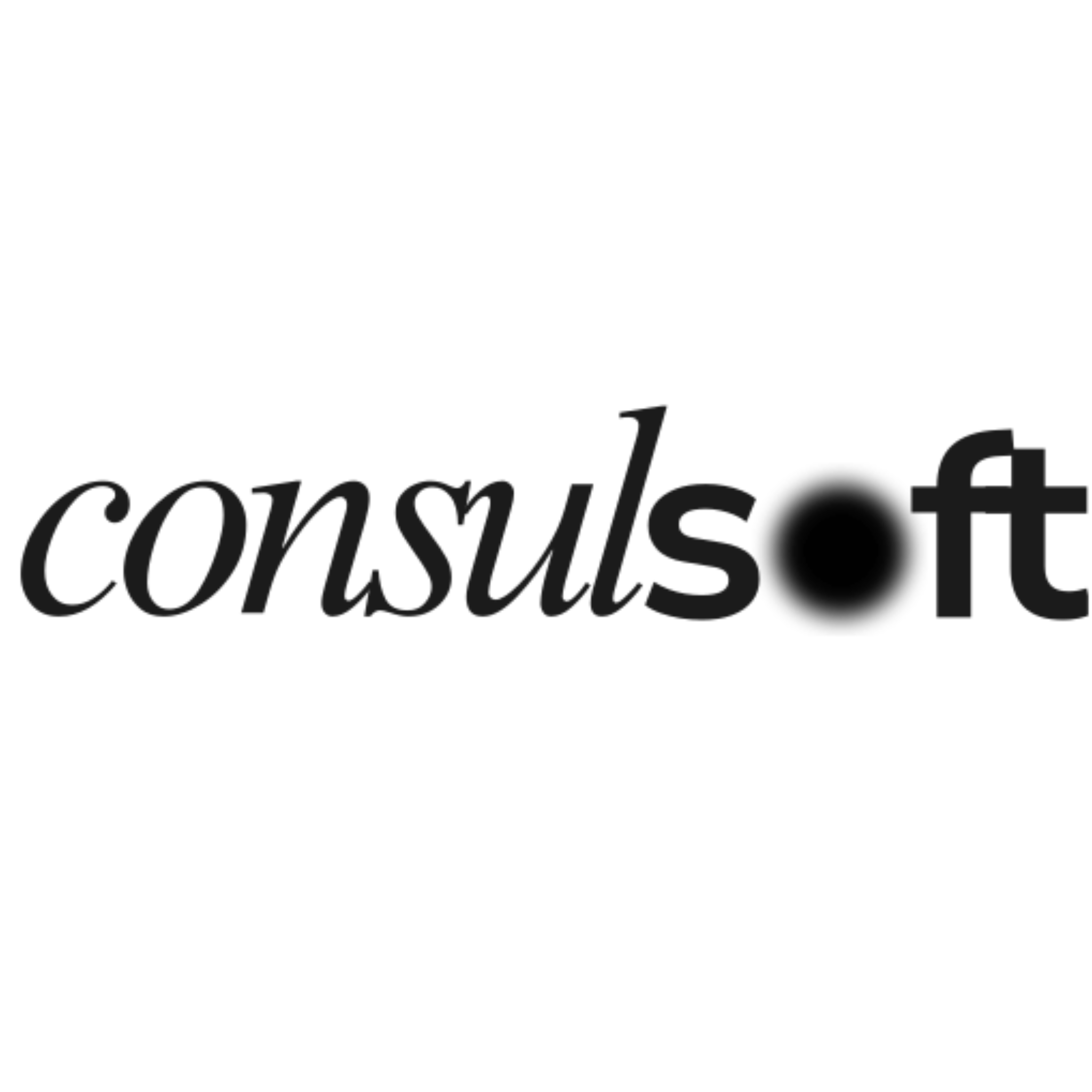 Consulsoft UG